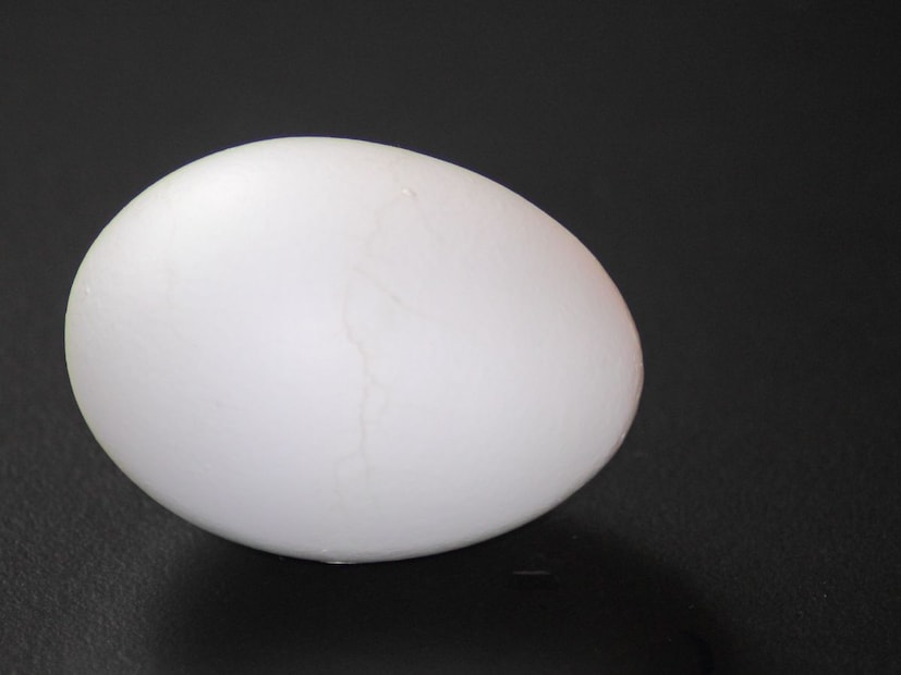 2. अंडी विकत घेताना काय काळजी घ्यावी?तुम्ही अंडी बाजारातून विकत घेत असाल, तर ही तपासणी करणे आवश्यक आहे:
अंड्याचे कार्टन तपासा (Check the Carton):
पॅकिंग तारीख: शक्य असल्यास, कार्टनवरील पॅक तारीख तपासा. ती अलीकडची असावी.
कार्टनवर ओलावा (Moisture) किंवा कोणतेही डाग (Stains) नाहीत याची खात्री करा.