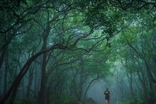 Pune News: स्वत:च्या जमिनीवरील झाड तोडताय? मग हे वाचाच, होईल 50 हजाराचा दंड