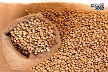 सोयाबीनच्या दरात विक्रमी वाढ! बाजारभाव टिकणार का? आजचे मार्केट काय?