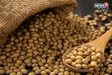 सोयाबीनच्या दरात मोठी घसरण, सध्याचे बाजार भाव काय? मार्केटमधून अपडेट आली समोर