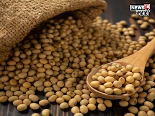 Soyabean market Soyabean market