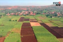 शेती प्रक्रिया उद्योगांना दिलासा! NA प्रमाणपत्राबाबत राज्य सरकारने घेतला मोठा निर्णय