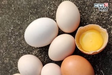 तुम्ही हिवाळ्यात अंड्यांच्या नावाखाली केमिकल खाताय का? 1 मिनिटांत बनावट अंडी कशी ओळखायची?