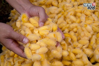 कमी जागेत व्यवसाय सुरू करा अन् महिन्याला 1 ते 2 लाख कमवा ते कसं?