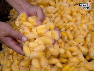 कमी जागेत व्यवसाय सुरू करा अन् महिन्याला 1 ते 2 लाख कमवा ते कसं?