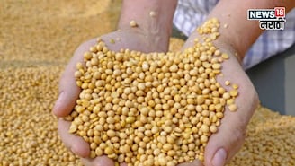डिसेंबर सुरू होताच सोयाबीनच्या दरात मोठी उसळी! सध्याचे भाव काय?