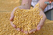 डिसेंबर सुरू होताच सोयाबीनच्या दरात मोठी उसळी! सध्याचे भाव काय?