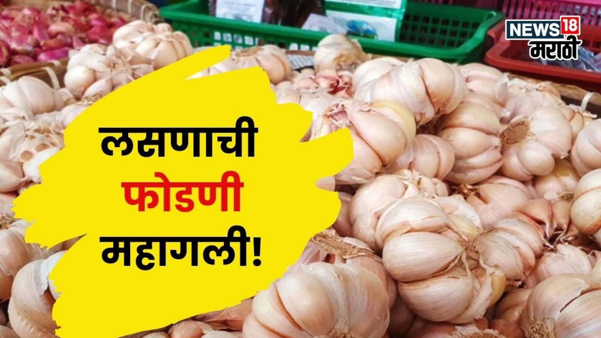 तुम्हालाही कधी प्रश्न पडलाय का? हिवाळ्यातच लसूण महाग का होतो? त्याचे आरोग्यासाठी होणारे फायदे काय?