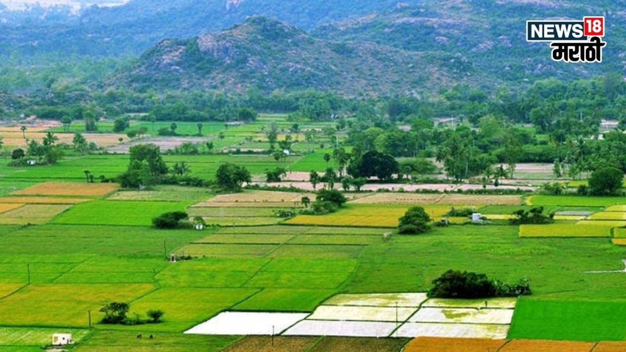 तुकडेबंदी दस्तनोंदणी आंमलबजावणीला सुरुवात, नागरिकांसाठी नियम-अटी काय असणार? वाचा परिपत्रक