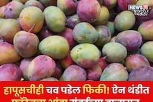 हापूसचीही चव पडेल फिकी! फॉरेनचा आंबा मुंबईच्या बाजारात, खरेदीसाठी लागल्या रांगाच रांगा, खासियत काय?