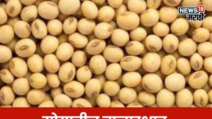 soyabean market soyabean market