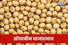 दत्त जयंतीच्या दिवशी सोयाबीनच्या दरात मोठी ऊसळी! बाजार भाव स्थिर राहणार का?