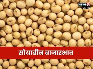 soyabean market