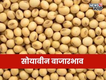 soyabean market
