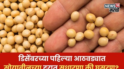 soyabean market soyabean market