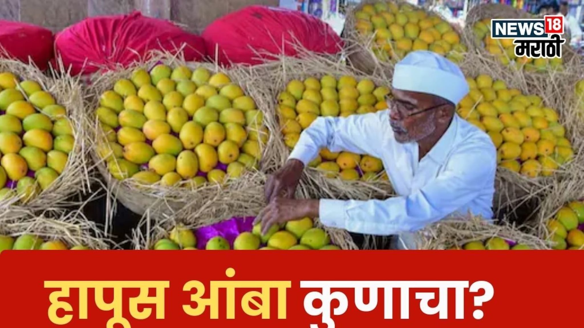 कोकणच्या हापूसवर गुजरातचा दावा! आंबा उत्पादक शेतकरी संकटात