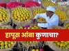 आंबा उत्पादक शेतकऱ्यांवर मोठं संकट! हापूसवर गुजरातचा दावा, GI टॅगवरुन वाद पेटला