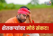 द्राक्षापासून ते आंब्यापर्यंत! शेतकऱ्यांवर येणार मोठं संकट, कृषी तज्ज्ञांनी व्यक्त केली भीती