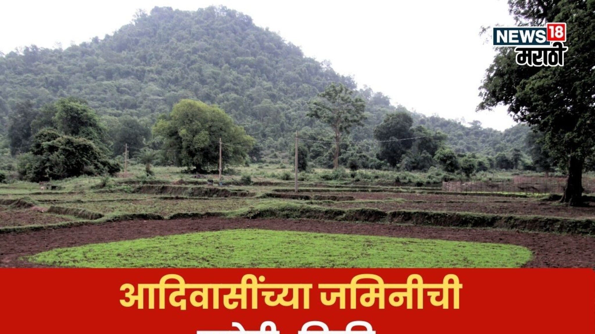 आदिवासींच्या जमिनीची खरेदी-विक्री करता येते का? कायदा काय सांगतो?
