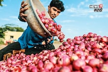 बांगलादेशने कांद्याच्या आयातीला परवानगी दिली! पण खरंच दर वाढणार का?