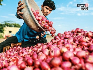kanda market kanda market