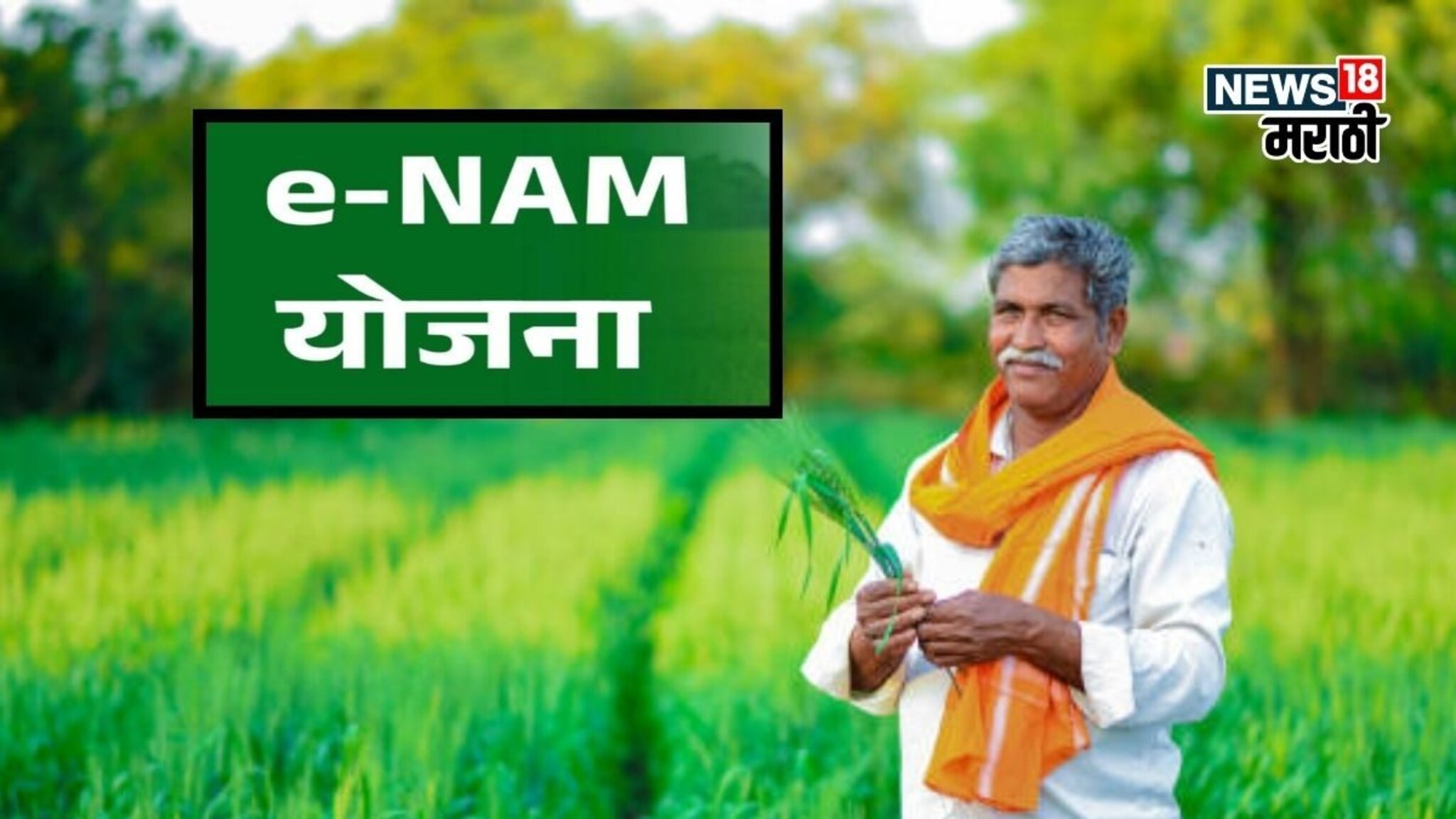 केंद्र सरकारच्या धर्तीवर राज्य सरकारकडून शेतकऱ्यांसाठी नवीन योजनेची घोषणा!