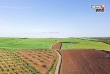 भोगवटादार वर्ग -2 जमिनीची खरेदी-विक्री कशी करायची? नियम काय सांगतो?