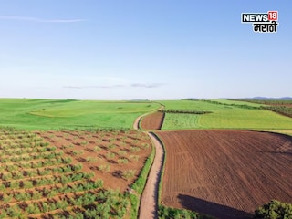 Agriculture News Agriculture News