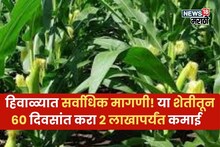 हिवाळ्यात सर्वाधिक मागणी! एकरी फक्त 30 हजार खर्च, या शेतीतून 60 दिवसांत करा 2 लाखापर्यंत कमाई