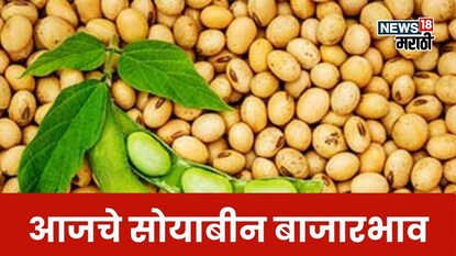 Soyabean Market Soyabean Market