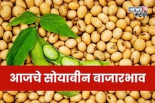 दिलासादायक! डिसेंबरच्या दुसऱ्या आठवड्यात सोयाबीन दराचा उच्चांक, आजचे मार्केट काय?