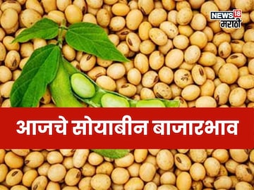 Soyabean Market 