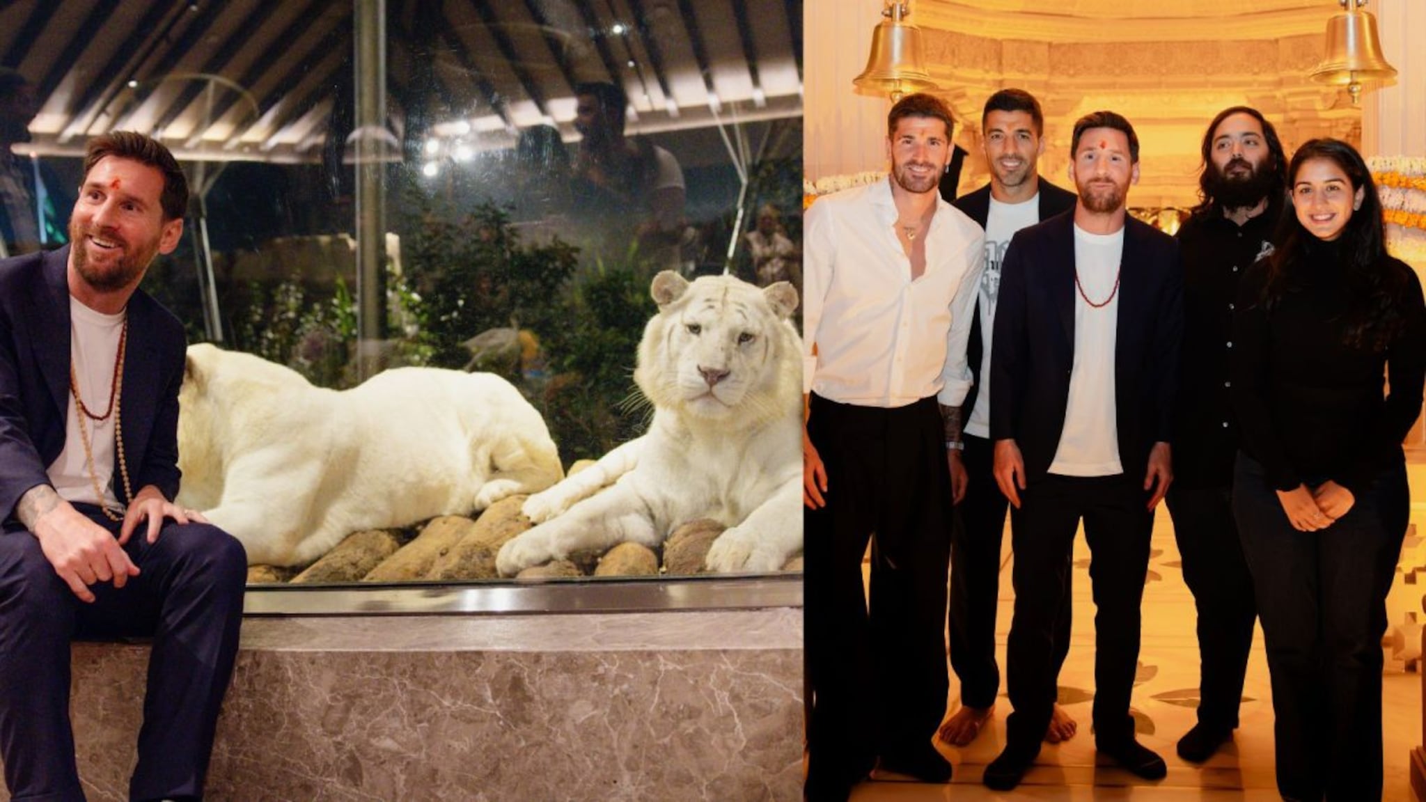 अनंत अंबानी यांच्या 'वनतारा'ला लिओनेल मेस्सीने दिली भेट, खास PHOTOS