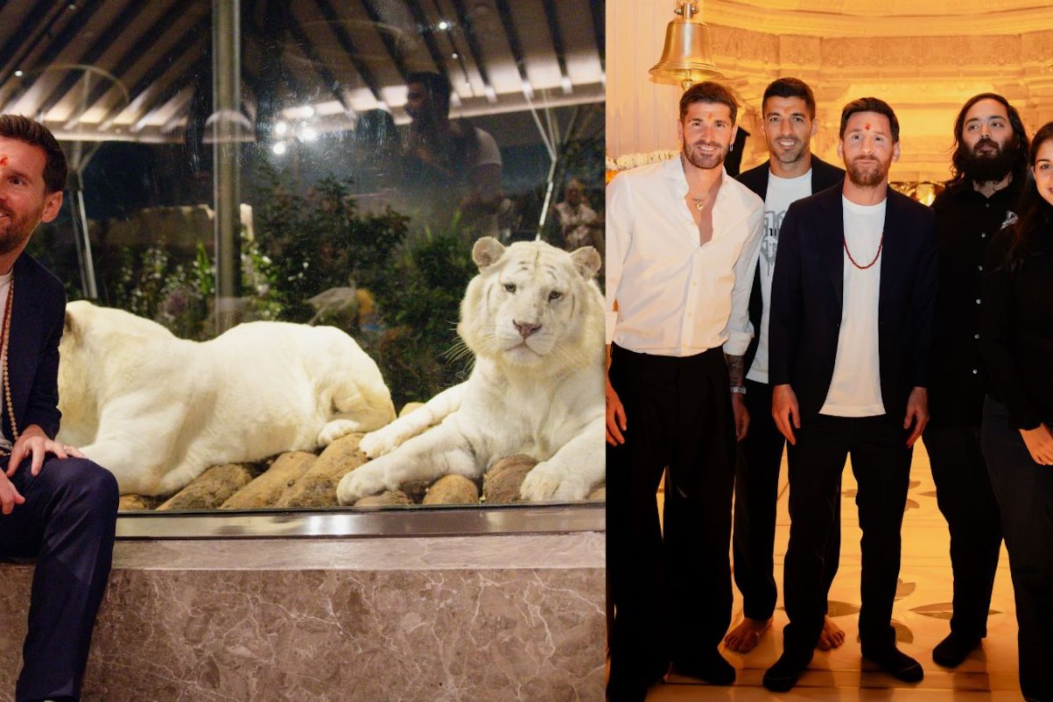 अनंत अंबानी यांच्या 'वनतारा'ला लिओनेल मेस्सीने दिली भेट, खास PHOTOS अनंत अंबानी यांच्या 'वनतारा'ला लिओनेल मेस्सीने दिली भेट, खास PHOTOS