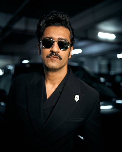 विकी कौशलच्या कामाबद्दल बोलायचं झाल्यास, त्याचा शेवटचा चित्रपट 'छावा' याच वर्षी फेब्रुवारीमध्ये प्रदर्शित झाला आणि तो बॉक्स ऑफिसवर सुपरहिट ठरला.