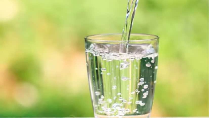 वैज्ञानिकांचे म्हणणे आहे की, या रसायनांपैकी काही एंडोक्राइन डिस्टर्बर्स प्रमाणे कार्य करून शरीरातील हार्मोनल प्रणाली बिघडवू शकतात. काही फथॅलेट्स आणि बिसफेनोल्सचे जास्त प्रमाण प्रजनन आरोग्य, चयापचय आणि विकास यावर परिणाम करू शकते.