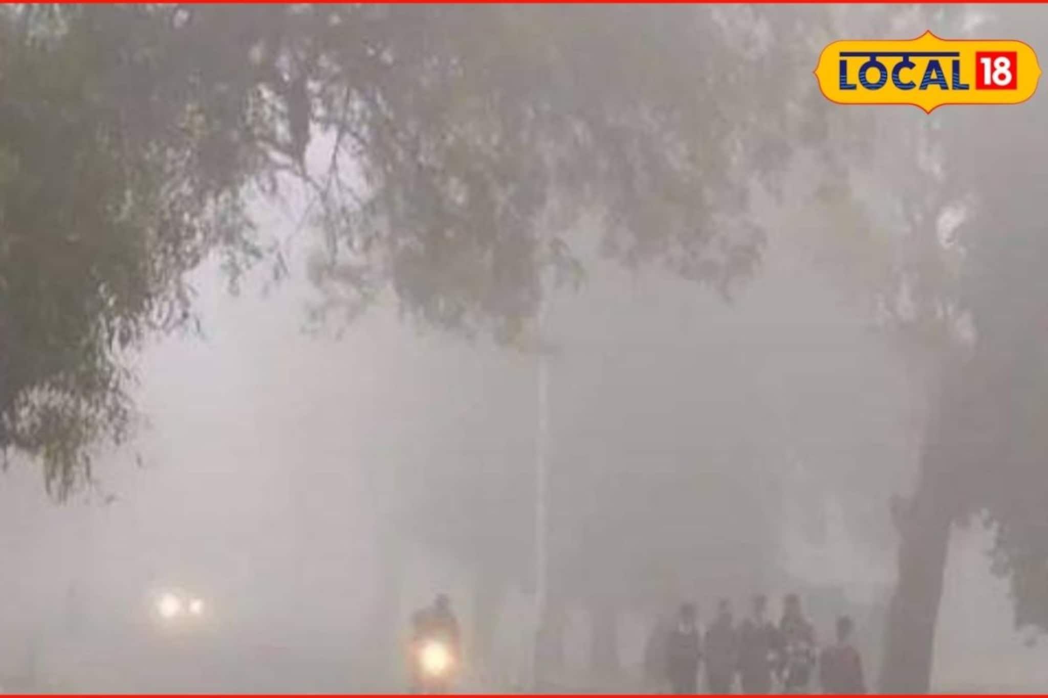 मराठवाड्यात पहिल्यांदाच पडली बर्फासारखी थंडी? असं का घडलं? शेतकऱ्यांसमोर एक संकट मराठवाड्यात पहिल्यांदाच पडली बर्फासारखी थंडी? असं का घडलं? शेतकऱ्यांसमोर एक संकट