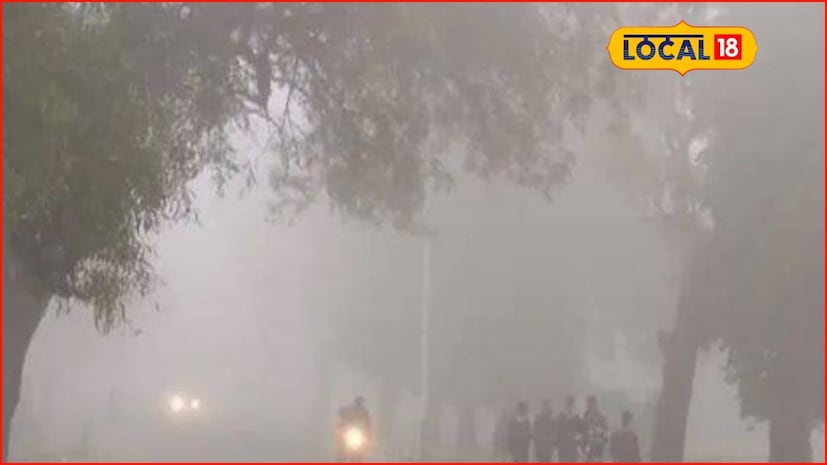 गेले काही दिवस राज्यातील विविध भागांत तीव्र थंडीची लाट होती. 12 डिसेंबर रोज शुक्रवारी देखील 5 जिल्ह्यांत थंडीची लाट होती. मध्य महाराष्ट्र आणि विदर्भात थंडीचा कडाका जास्त होता. शुक्रवारी जेहुर येथे 5 अंश सेल्सिअस तर धुळे येथे 6 अंश सेल्सिअस तापमानाची नोंद झाली. पुढील काही दिवस राज्यातील थंडी कायम राहण्याची शक्यता आहे. 13 डिसेंबर रोजी राज्यात शीत लहरींचा इशारा नाही. तरीही राज्यात थंडीचा कडाका कायम राहणार असल्याची माहिती हवामान विभागानं दिली आहे. पाहुयात, 13 डिसेंबर रोजी राज्यातील तापमान आणि हवामानाची स्थिती कशी राहील. गेले काही दिवस राज्यातील विविध भागांत तीव्र थंडीची लाट होती. 12 डिसेंबर रोज शुक्रवारी देखील 5 जिल्ह्यांत थंडीची लाट होती. मध्य महाराष्ट्र आणि विदर्भात थंडीचा कडाका जास्त होता. शुक्रवारी जेहुर येथे 5 अंश सेल्सिअस तर धुळे येथे 6 अंश सेल्सिअस तापमानाची नोंद झाली. पुढील काही दिवस राज्यातील थंडी कायम राहण्याची शक्यता आहे. 13 डिसेंबर रोजी राज्यात शीत लहरींचा इशारा नाही. तरीही राज्यात थंडीचा कडाका कायम राहणार असल्याची माहिती हवामान विभागानं दिली आहे. पाहुयात, 13 डिसेंबर रोजी राज्यातील तापमान आणि हवामानाची स्थिती कशी राहील.