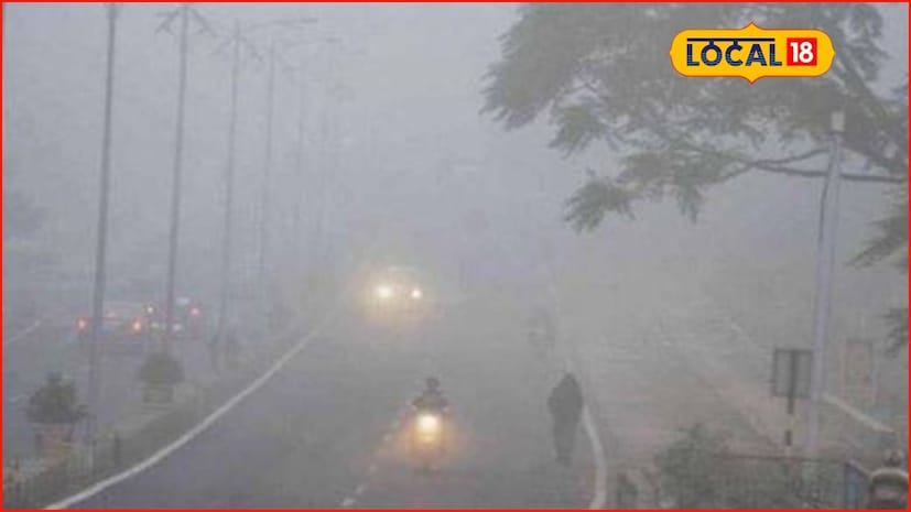 मराठवाड्यातही हुडहुडी कायम आहे. मराठवाड्यातील प्रमुख शहर असलेल्या छत्रपती संभाजीनगरमधील कमाल तापमान 30 अंश सेल्सिअस तर किमान तापमान 11 अंश सेल्सिअस इतकं असू शकतं. त्याठिकाणी 13 डिसेंबर रोजी निरभ्र आकाश राहून वातावरण कोरडे राहण्याची शक्यता आहे. इतर जिल्ह्यांतही काहीशी अशीच स्थिती बघायला मिळू शकते.