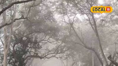 Maharashtra: Super Cold Wave Intensifies, Alert Issued