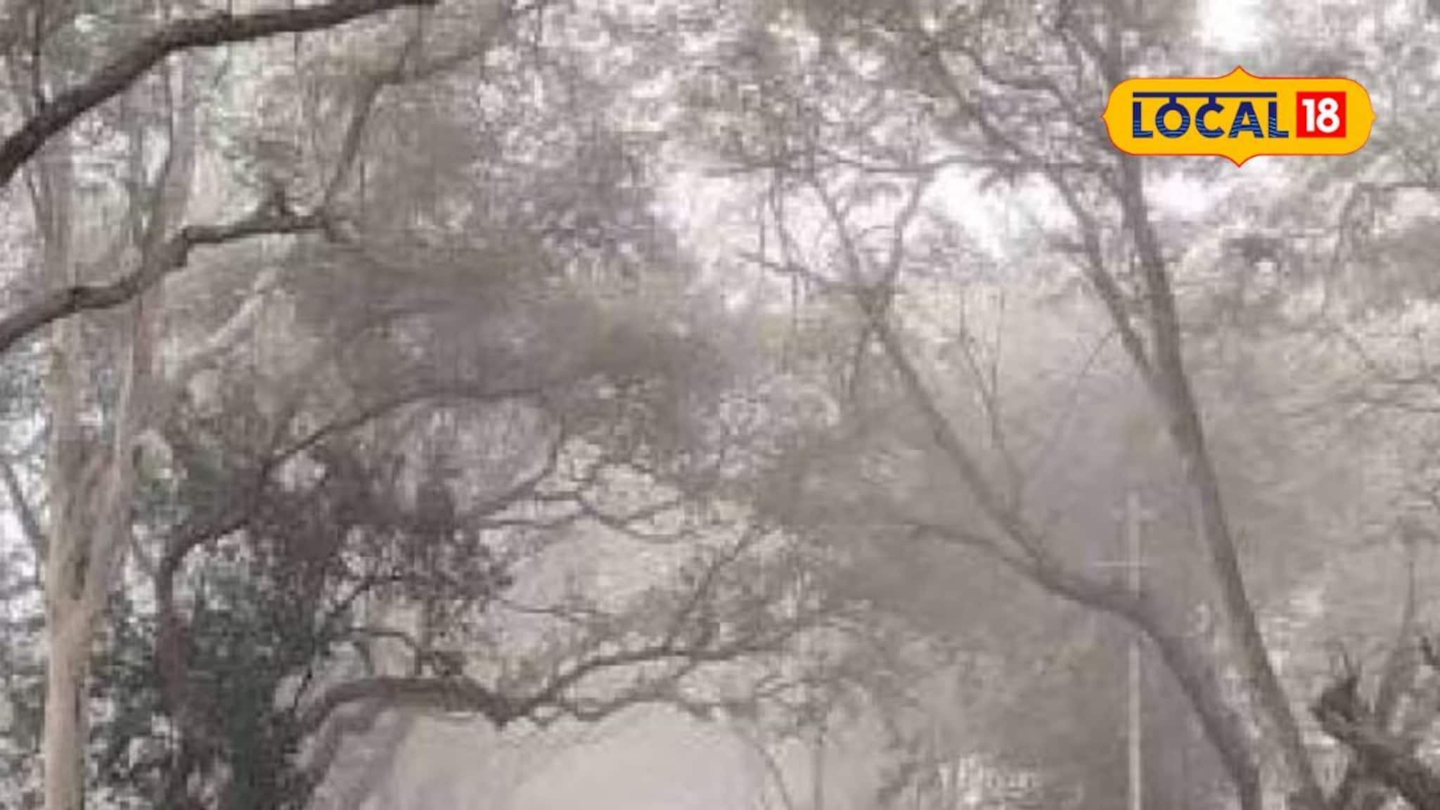 Weather Alert : महाराष्ट्रात आता धडकणार सुपर कोल्ड लाट, हवामान खात्याकडून अलर्ट