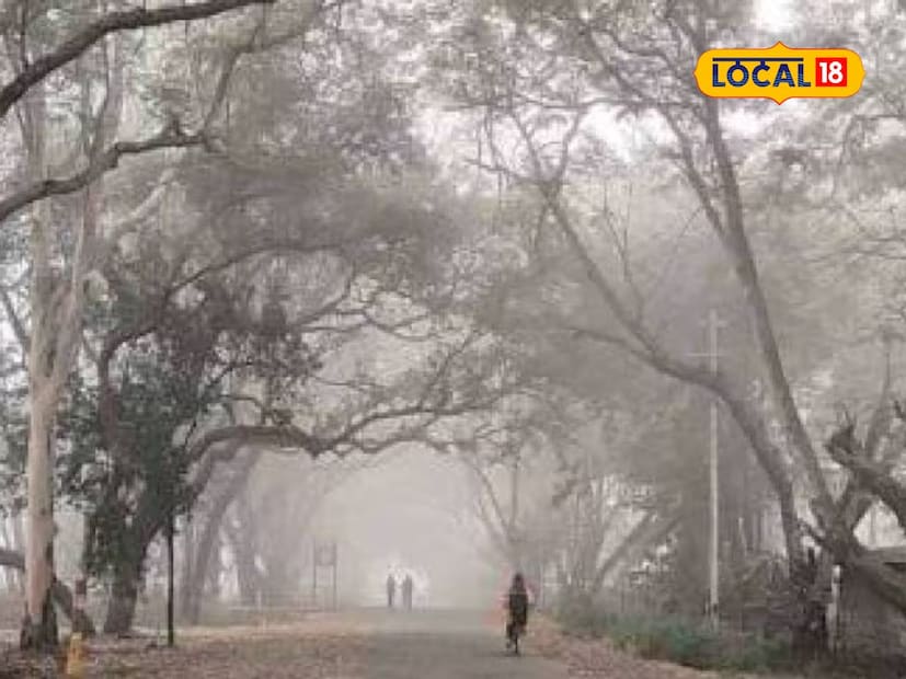 उत्तर महाराष्ट्रात देखील गारठा कमी झाला आहे. नाशिकमध्ये किमान तापमान 9 अंश सेल्सिअसवरून 11 अंश सेल्सिअसपर्यंत पोहोचले. तर जळगाव आणि उर्वरित उत्तर महाराष्ट्रात देखील गारठा कमी झाल्याचे पहायला मिळेल.