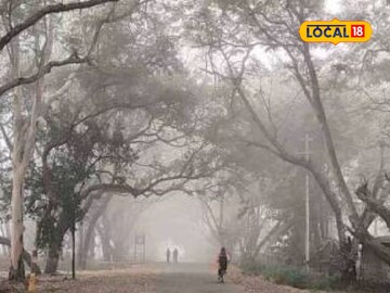 महाराष्ट्राला आता कोल्ड वेव्हचा तडाखा, 7 जिल्ह्यांना थेट अलर्ट