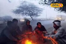 Weather Alert : महाराष्ट्राला आता कोल्ड वेव्हचा तडाखा, 7 जिल्ह्यांना थेट अलर्ट