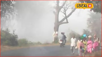 महाराष्ट्रावर पुन्हा कोल्ड वेव्हचं संकट, या जिल्ह्यांना अलर्ट महाराष्ट्रावर पुन्हा कोल्ड वेव्हचं संकट, या जिल्ह्यांना अलर्ट