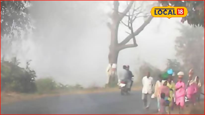 उत्तर भारतातून येत असलेल्या वाऱ्यामुळे मध्य महाराष्ट्रात कोल्ड वेव्हचा इशारा देण्यात आला आहे. धुळे, नंदुरबार, नाशिक, जळगाव, अहिल्यानगर , पुणे आणि सोलापूर या सात जिल्ह्यांमध्ये शीतलहरीचा इशारा हवामान विभागाने दिला आहे. तर राज्यातील उर्वरित जिल्ह्यांमध्ये ही गारठा कायम राहणार आहे. पाहुयात रविवारी राज्यात हवामान कसं असेल. उत्तर भारतातून येत असलेल्या वाऱ्यामुळे मध्य महाराष्ट्रात कोल्ड वेव्हचा इशारा देण्यात आला आहे. धुळे, नंदुरबार, नाशिक, जळगाव, अहिल्यानगर , पुणे आणि सोलापूर या सात जिल्ह्यांमध्ये शीतलहरीचा इशारा हवामान विभागाने दिला आहे. तर राज्यातील उर्वरित जिल्ह्यांमध्ये ही गारठा कायम राहणार आहे. पाहुयात रविवारी राज्यात हवामान कसं असेल.