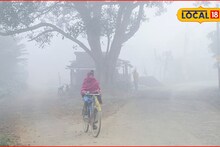 Weather Alert: पुढील 24 तास धोक्याचे, महाराष्ट्रात हिम लाट, या जिल्ह्यांना हवामान खात्याकडून अलर्ट