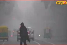 Weather Alert: महाराष्ट्राच्या दिशेनं येतंय हिम वादळ; हवामान विभागाचा अलर्ट