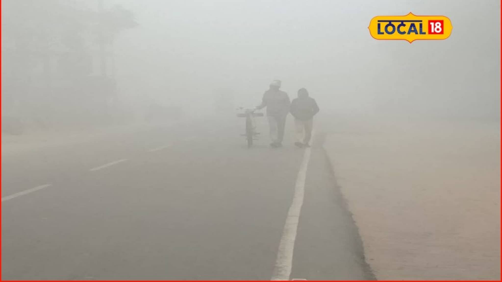 महाराष्ट्रात अखेर कोल्ड वेव्ह धडकली, आता शुक्रवारी 13 जिल्ह्यांना अलर्ट महाराष्ट्रात अखेर कोल्ड वेव्ह धडकली, आता शुक्रवारी 13 जिल्ह्यांना अलर्ट