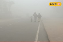 Weather Alret : महाराष्ट्रात अखेर कोल्ड वेव्ह धडकली, आता शुक्रवारी 13 जिल्ह्यांना अलर्ट